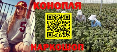 гидропоника Гусиноозёрск