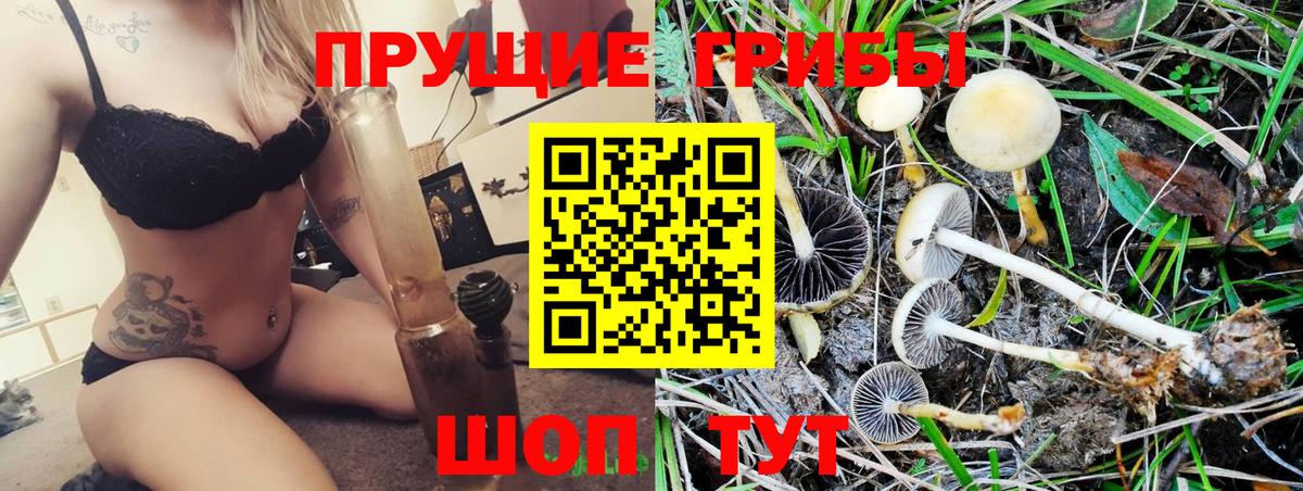 Псилоцибиновые грибы MAGIC MUSHROOMS Наро-Фоминск